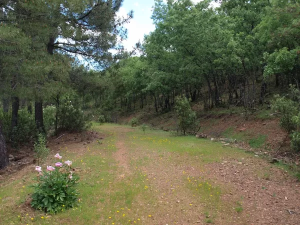 camino Vallehermoso