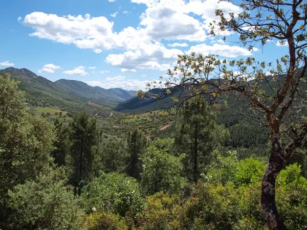collado Rosalejo o silleta de la cierva 