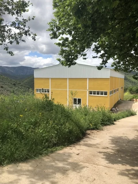 El Palomar
